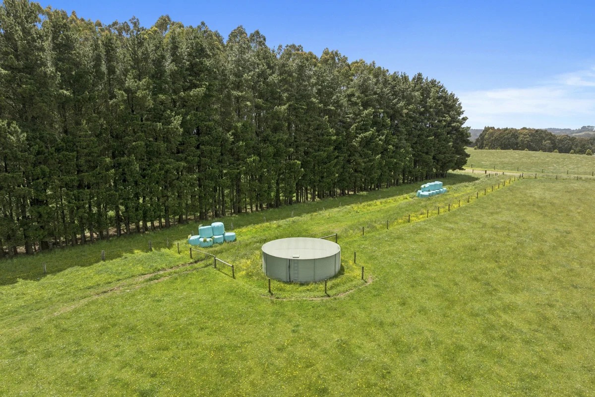Additional image 33 of 4230 Colac-Lavers Hill Road, Weeaproinah VIC 3237