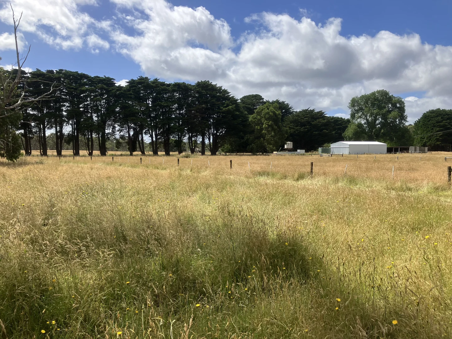 Additional image 4 of 12 Johnson Siding Rd, Greenwald VIC 3304