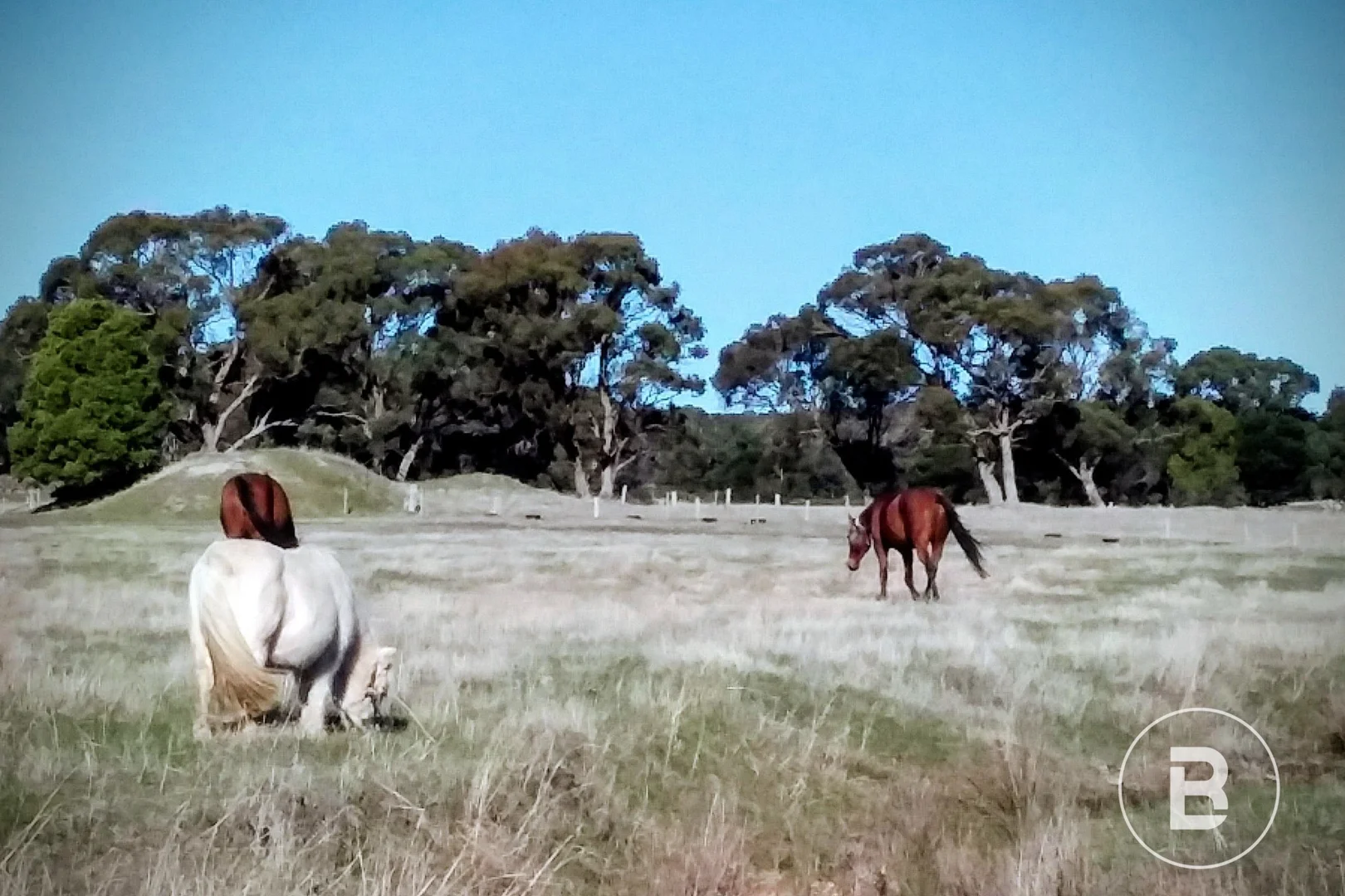 Additional image 9 of 722 A, B, Tannery Road, Snake Valley VIC 3351
