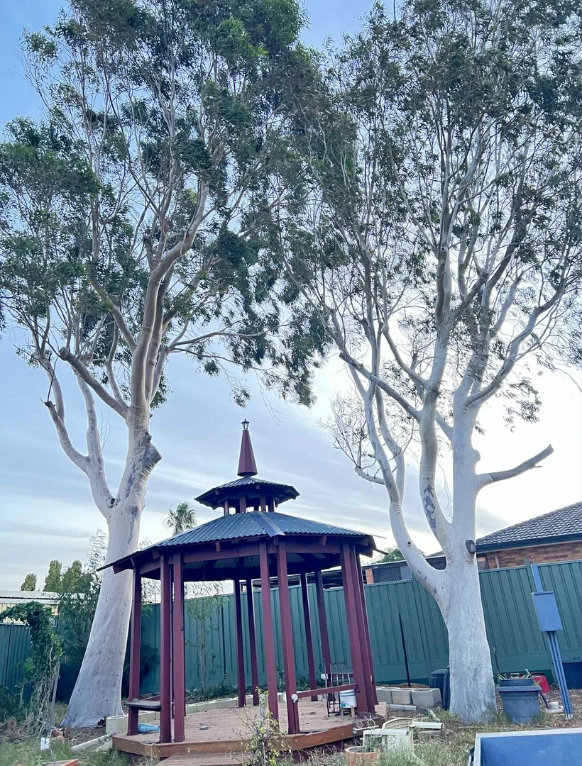 Additional image 31 of 10 Kenny Crescent, Rangeway WA 6530