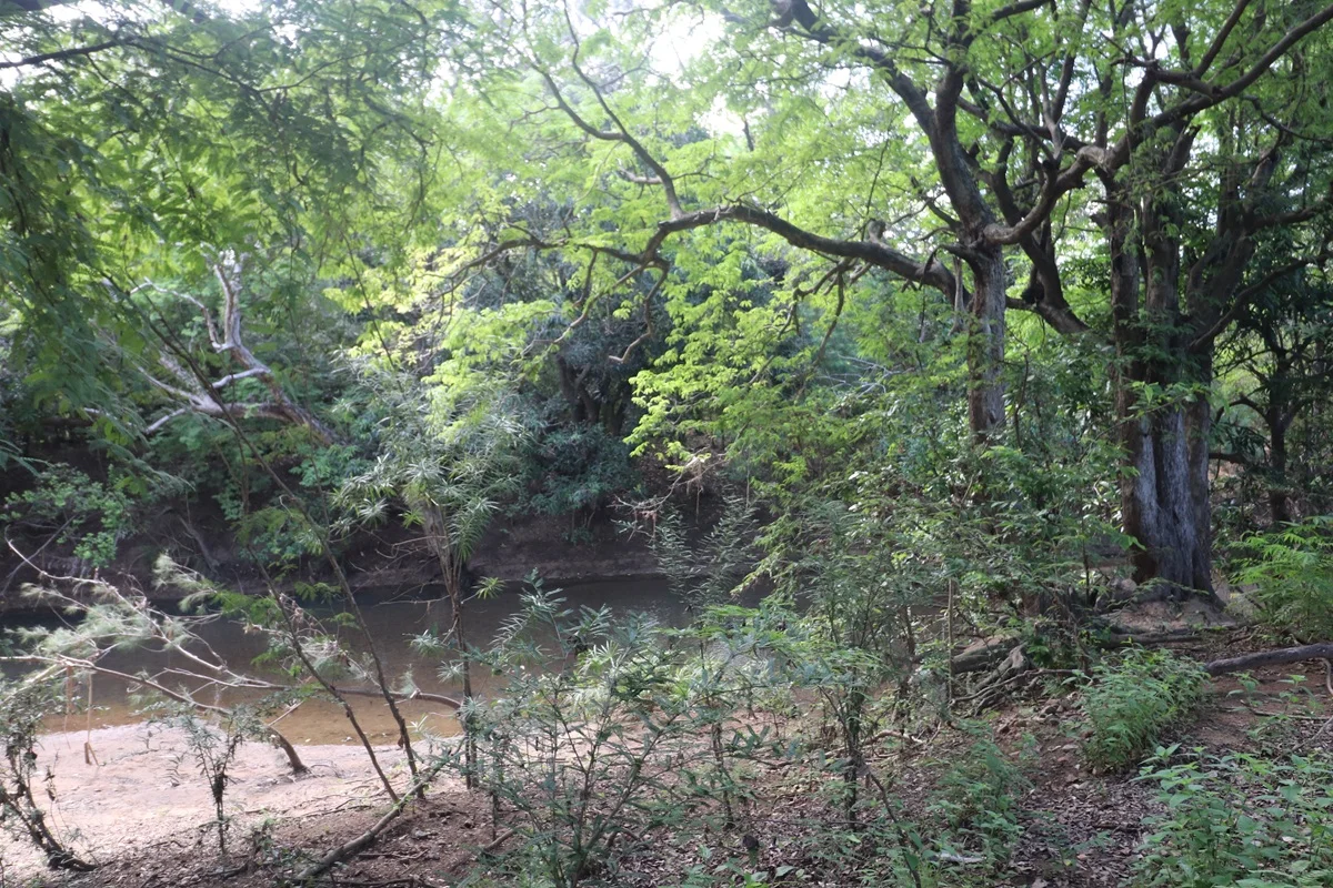 Additional image 11 of 62 Bougainville Street, Roseneath QLD 4811