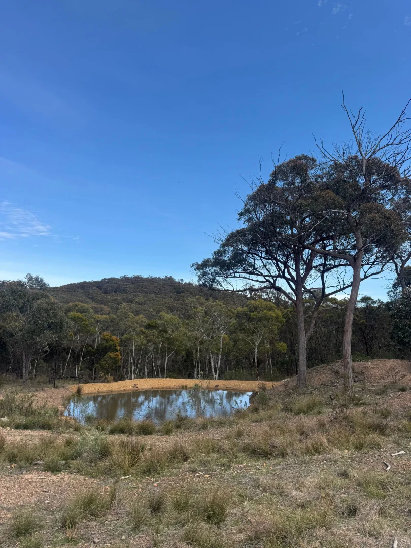 Additional image 6 of 274 Willow Glen Road, Lower Boro NSW 2580