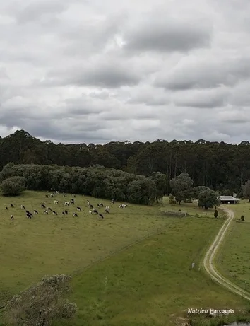 Additional image 12 of 1636 Muirillup Road, Boorara Brook WA 6262