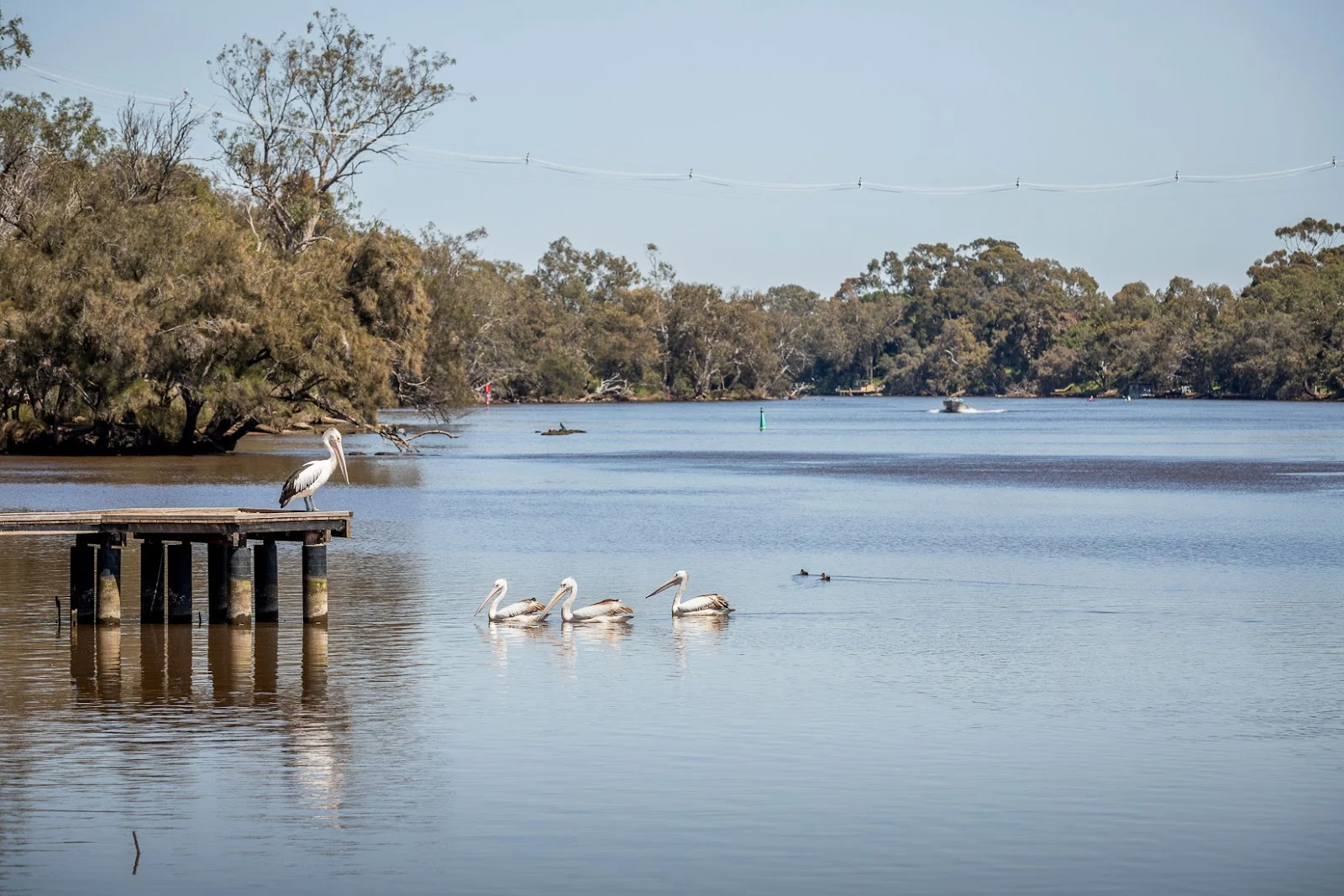 Additional image 17 of South Guildford WA 6055