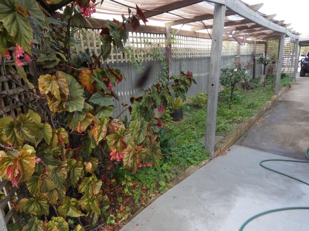 Additional image 26 of 7 Darts Avenue, Rainbow VIC 3424