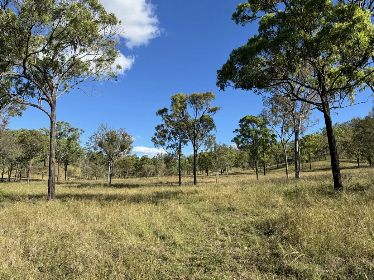 Additional image 20 of 186 Mungungo Creek Road, Monto QLD 4630