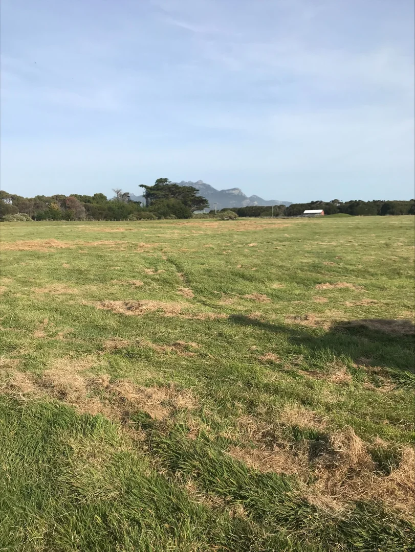 Additional image 4 of Lot 1, 22 Baileys Lane, Whitemark TAS 7255