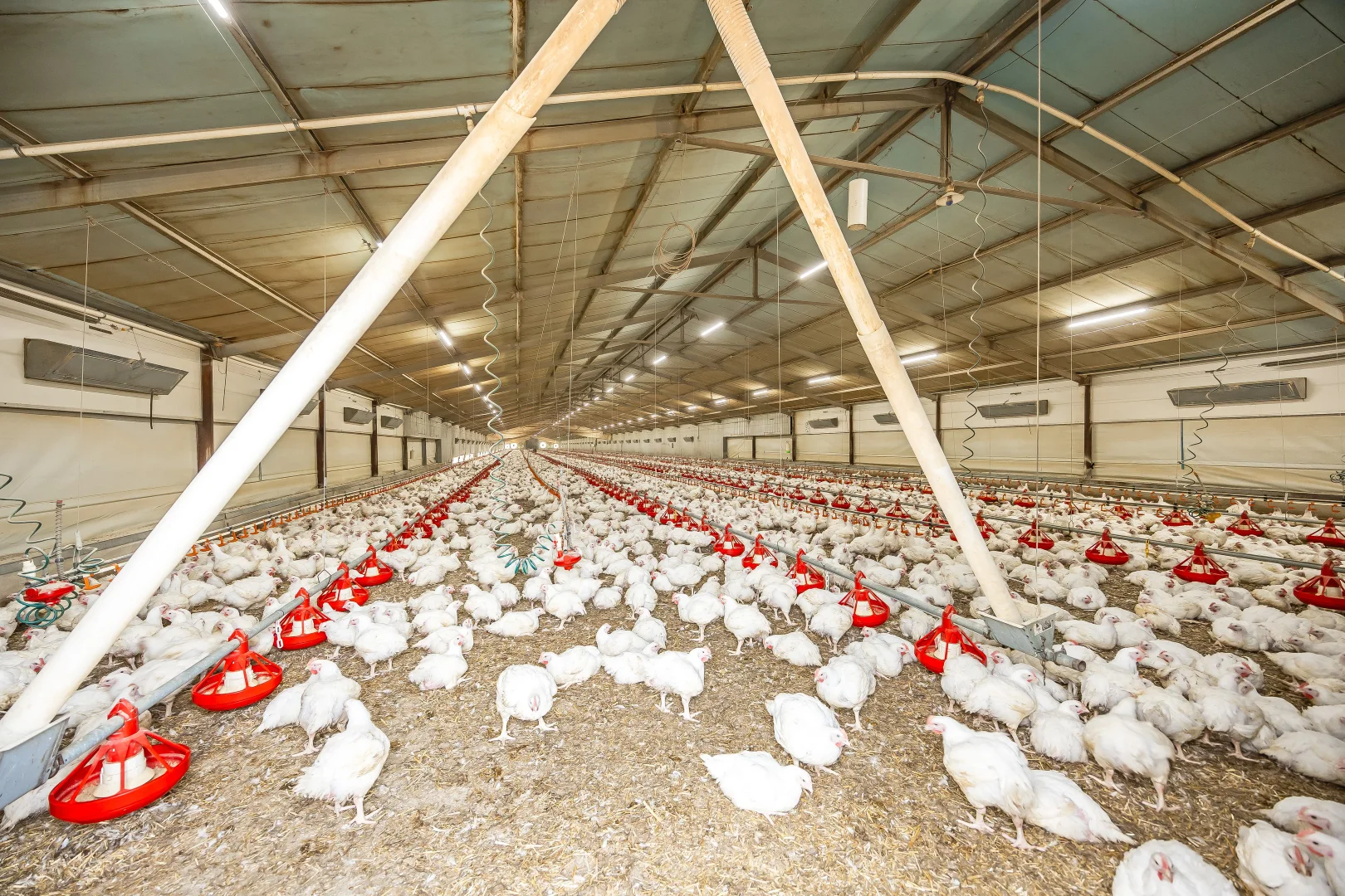 Additional image 16 of 85 Wandel Road, Owen SA 5460