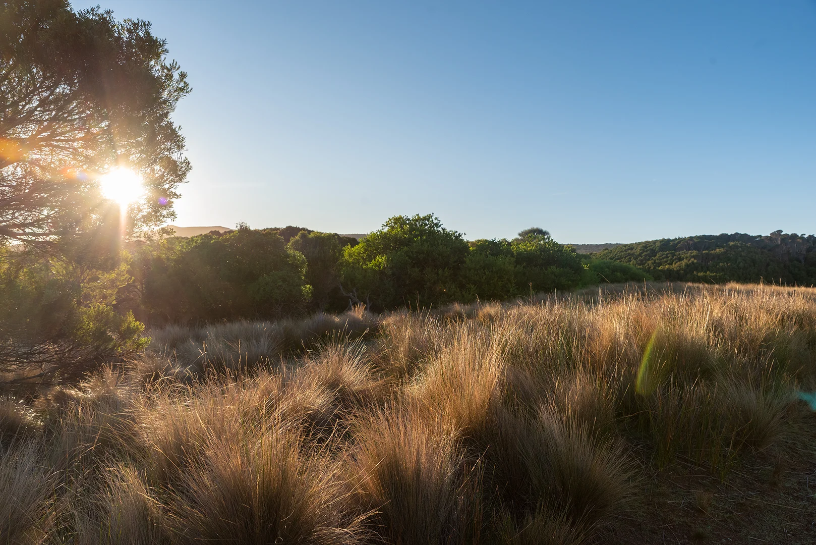 Additional image 18 of Lot 3 Boat Harbour Road, Killiecrankie TAS 7255