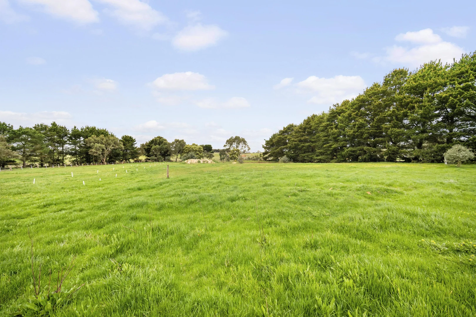 Additional image 8 of 89 Nunns Road, Snake Valley VIC 3351