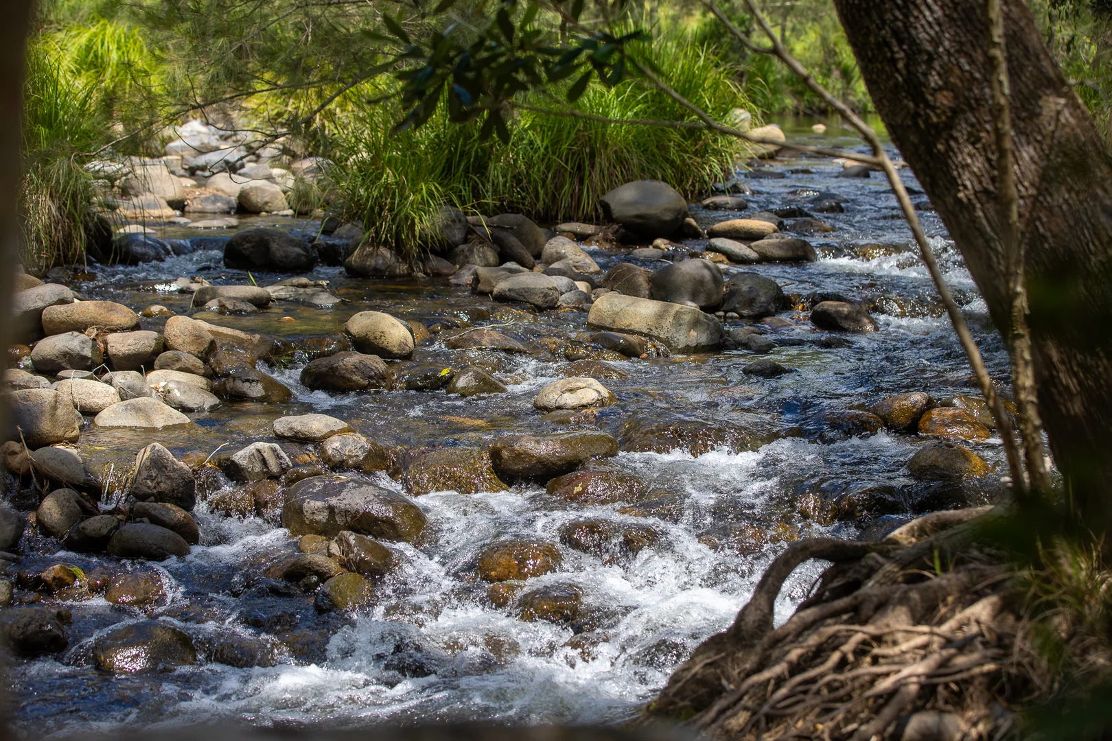 Additional image 9 of 2956 Carnham Road, Coombadjha NSW 2460