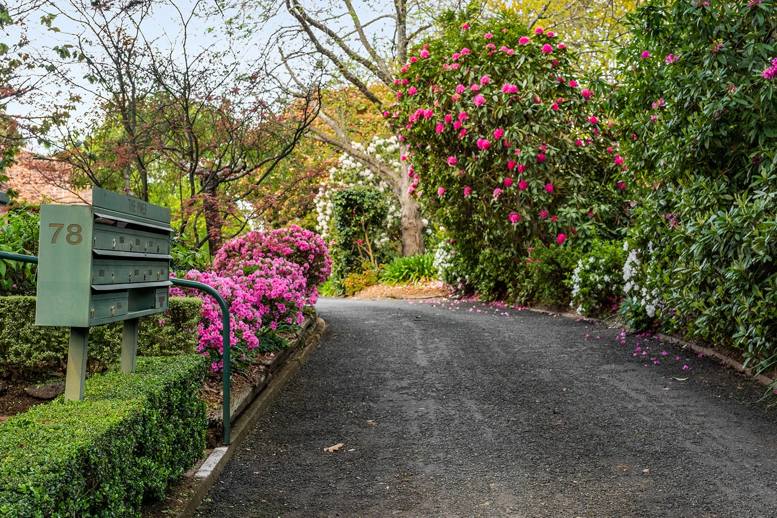 Additional image 16 of 8/78 Bendooley Street, Bowral NSW 2576