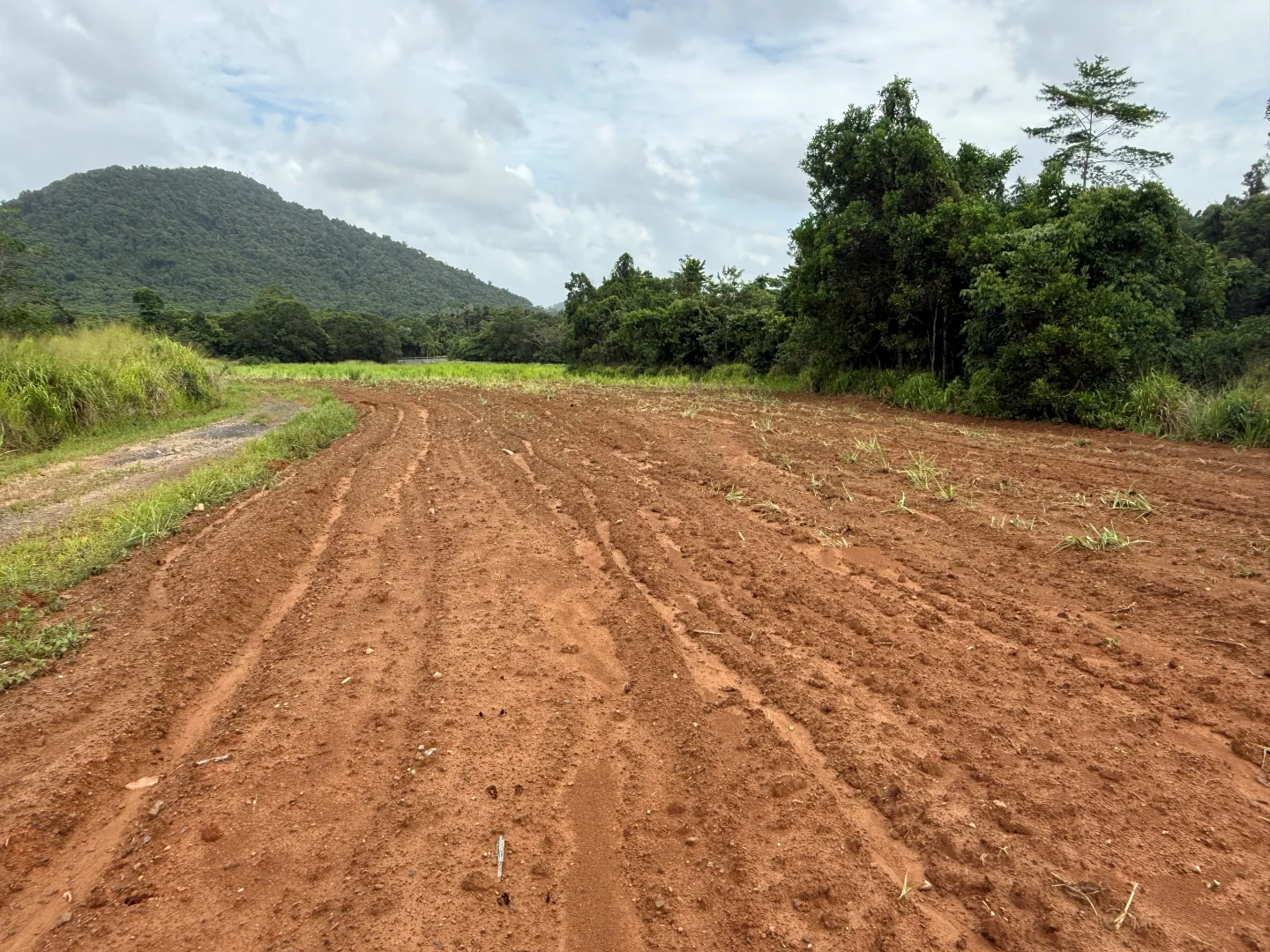 Additional image 11 of Lot 299 Bruce Highway, Friday Pocket QLD 4855