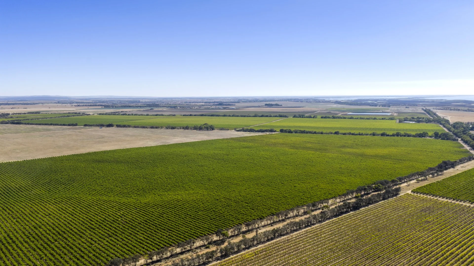 Additional image 8 of 261 Marandoo Road, Langhorne Creek SA 5255