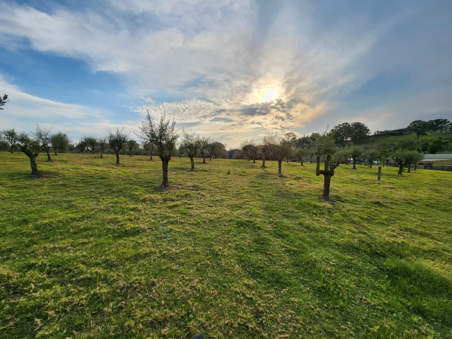 Additional image 40 of 100 Eltons Road, Silverdale NSW 2752