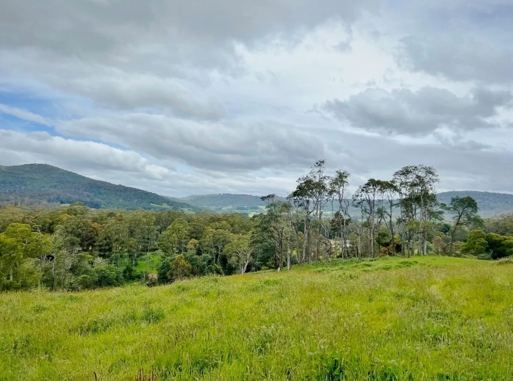 Additional image 2 of Lot 2/Part of 116680 Tasman Highway, Weldborough TAS 7264