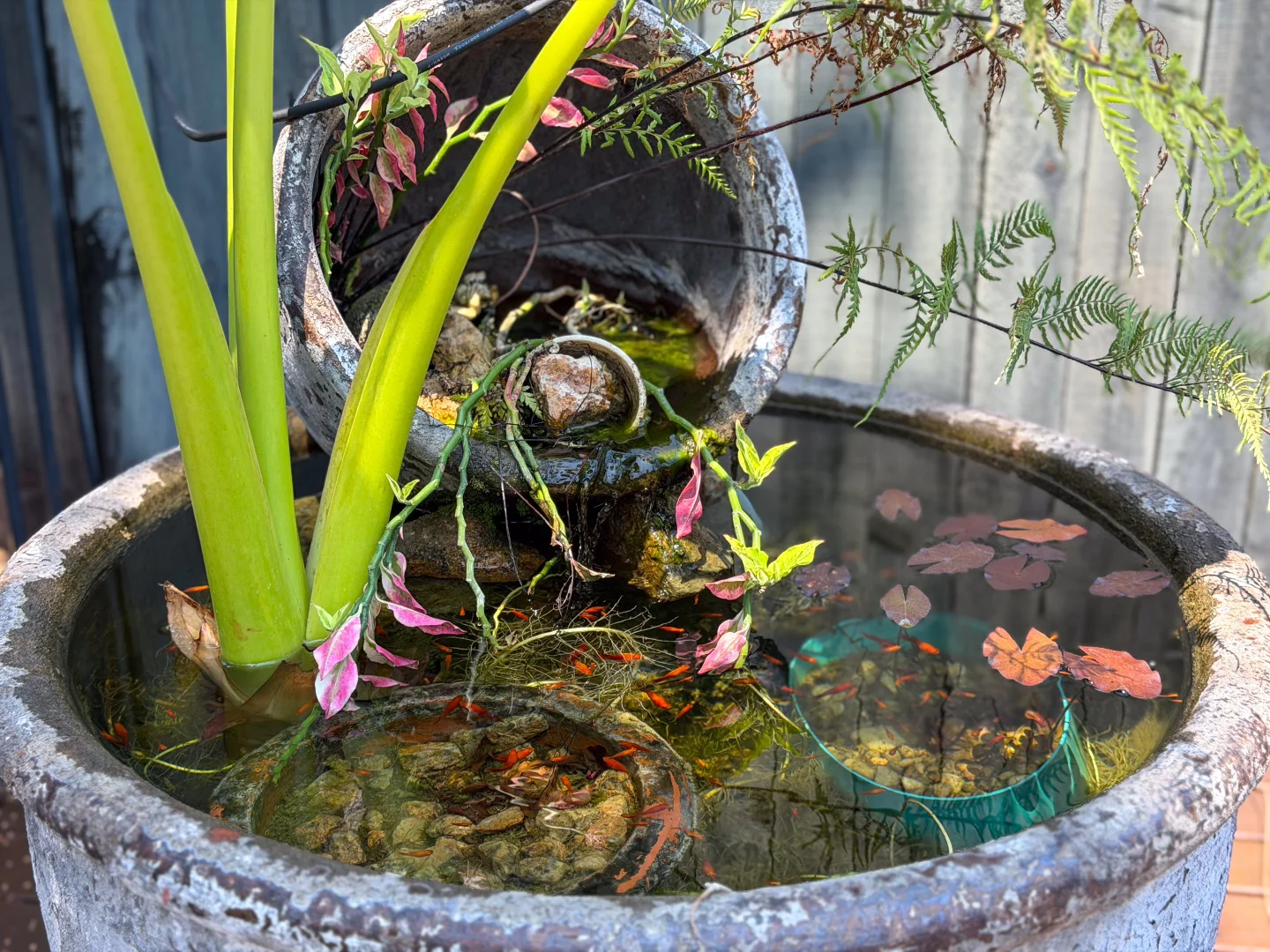 Additional image 13 of 14 Pacific View Drive, Wongaling Beach QLD 4852