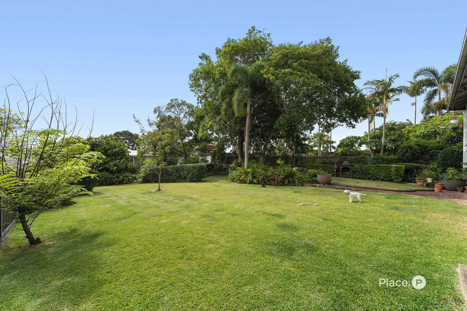 Additional image 25 of 40 Bulimba Street, Bulimba QLD 4171