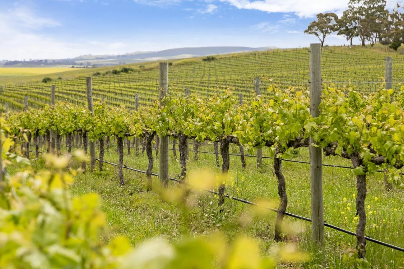 Additional image 9 of Lot 54 Tank Road, Auburn SA 5451