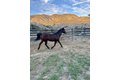 Additional image 6 of 11461 Riverwood Dr, Sunland, CA, 91040