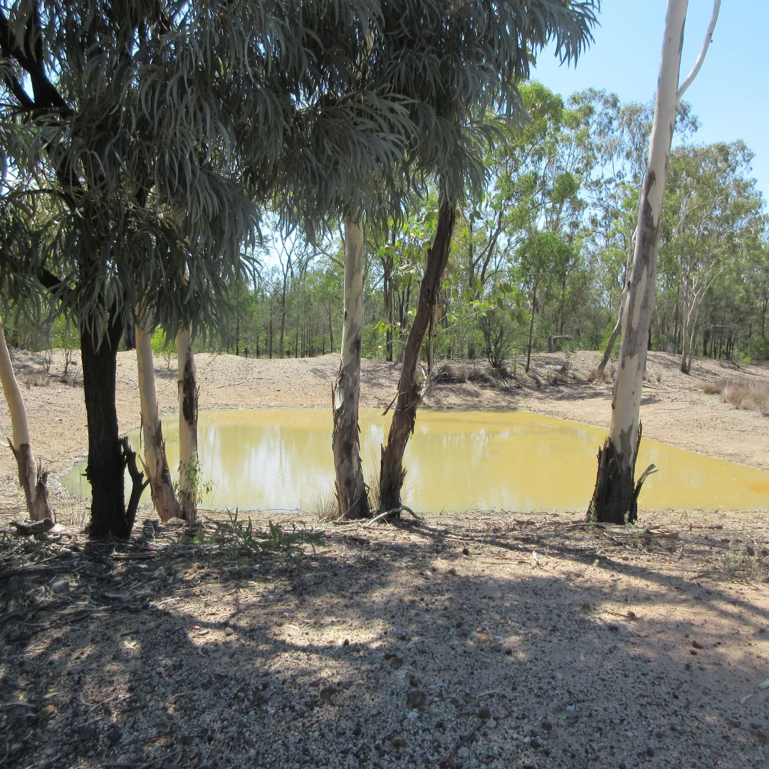 Additional image 16 of Tara QLD 4421