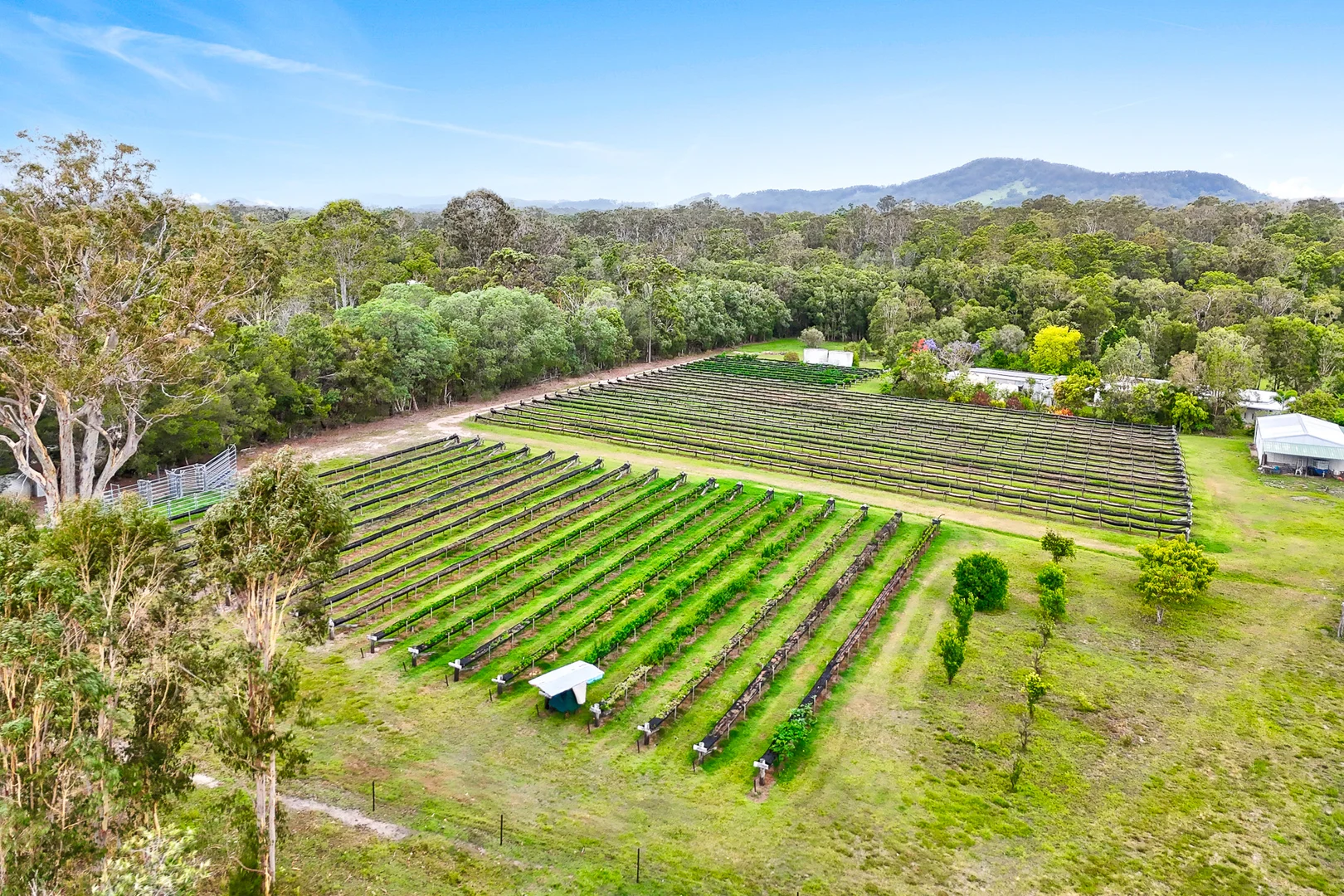 Additional image 9 of 197 Stephan Road, Goomboorian QLD 4570