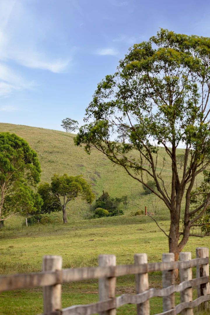 Additional image 10 of Lots 13-25 Glen William Road, Clarence Town NSW 2321