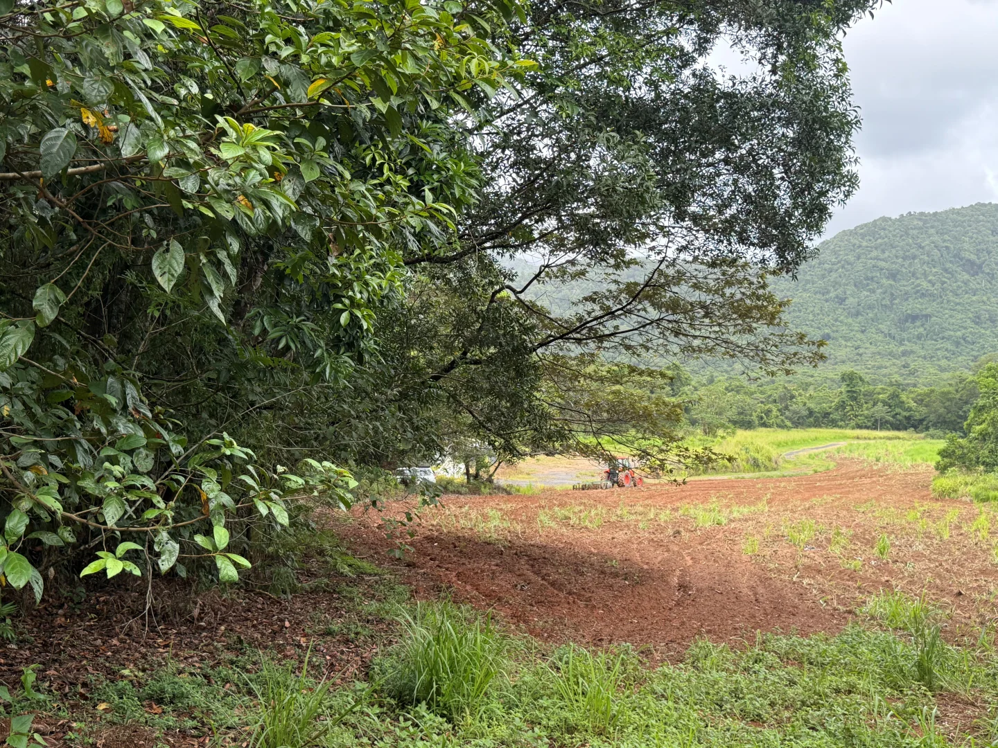 Additional image 5 of Lot 299 Bruce Highway, Friday Pocket QLD 4855