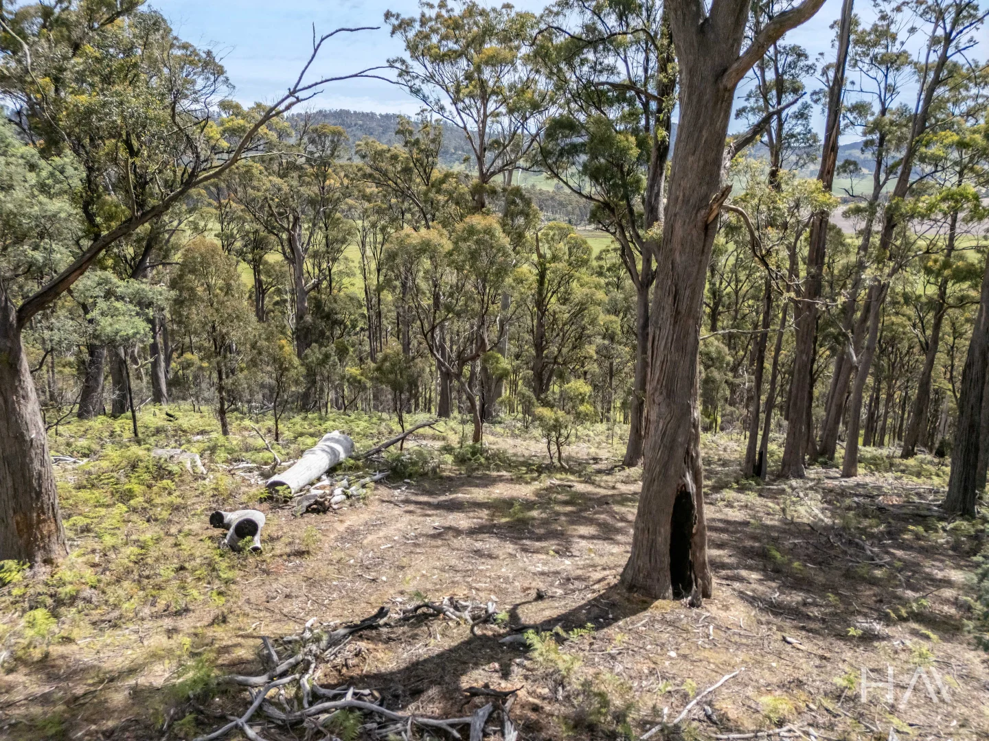 Additional image 17 of English Town Road, Deddington TAS 7212