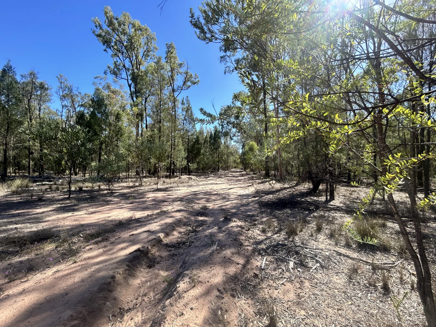 Additional image 10 of Lot 110 Biggs Rd, Coolmunda QLD 4387