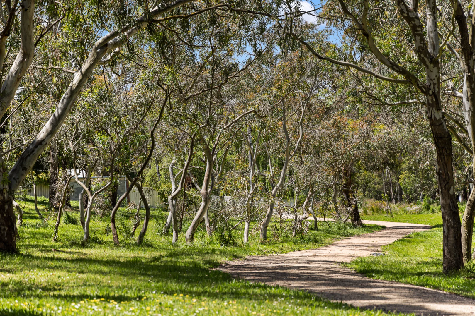Additional image 14 of 4/810 Humffray Street, Mount Pleasant VIC 3350