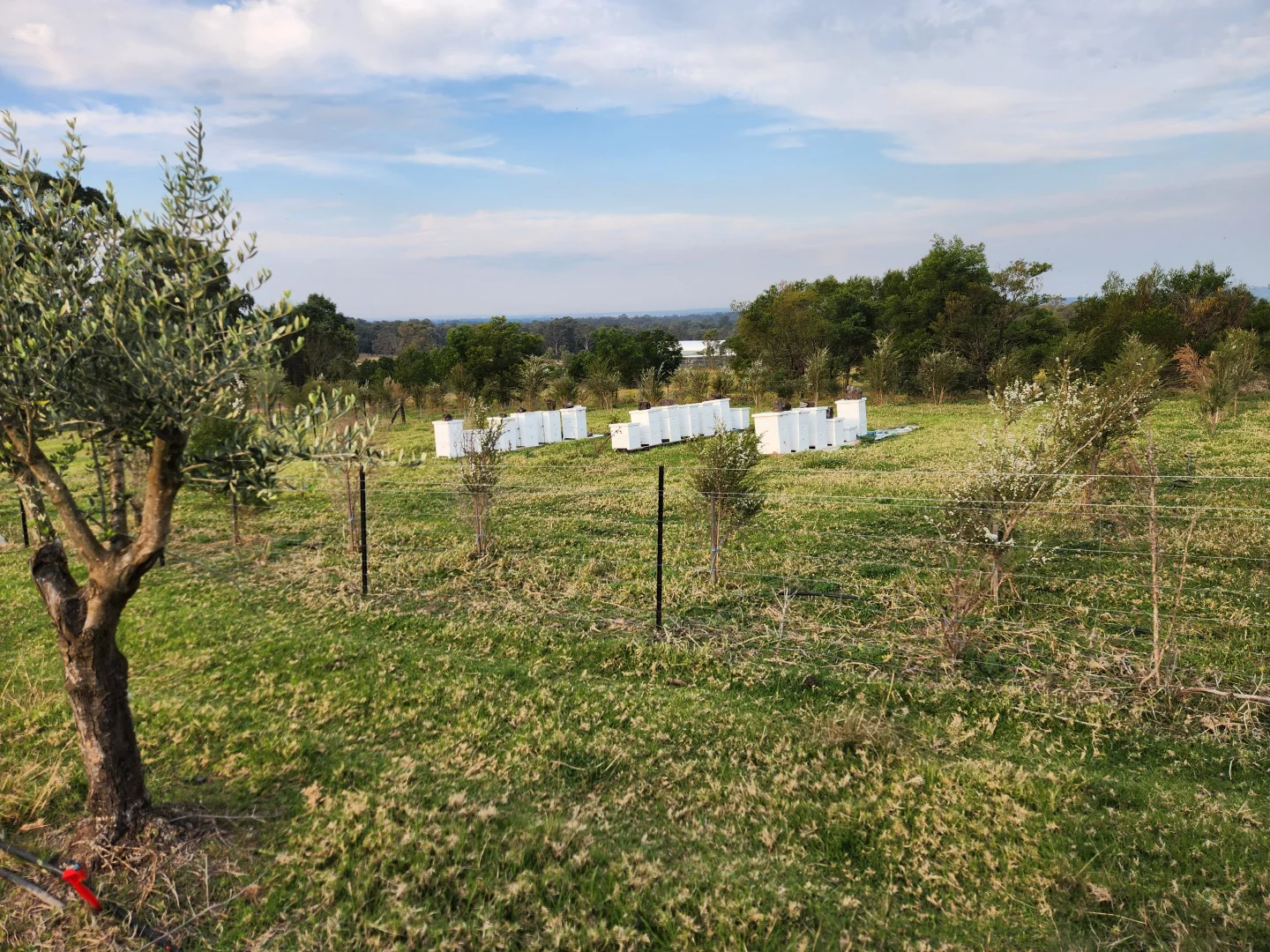 Additional image 48 of 100 Eltons Road, Silverdale NSW 2752