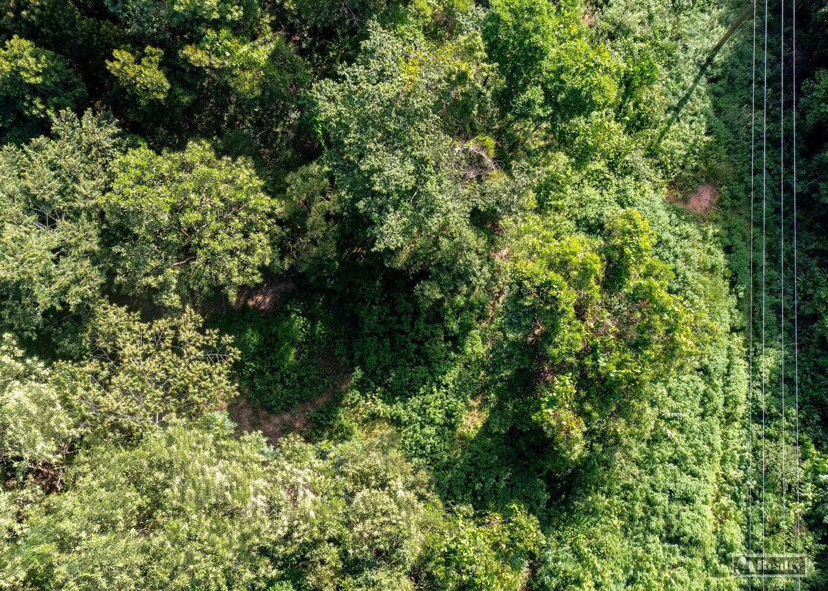 Additional image 4 of 317 Coquette Point Road, Coquette Point QLD 4860