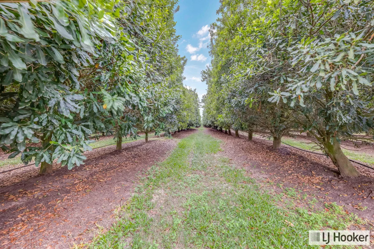 Additional image 3 of 214 Thomasens Road, Alloway QLD 4670