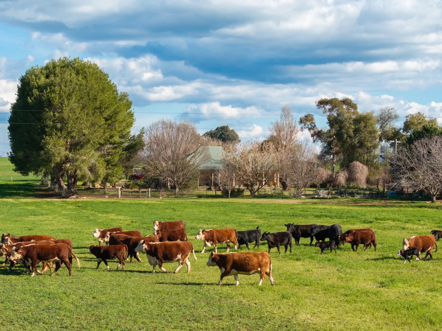 Additional image 33 of 164 Settlement Bridge Road, Canowindra NSW 2804