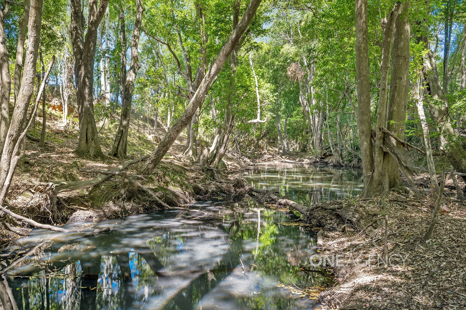 Additional image 20 of 13 Morilla Place, Beechwood NSW 2446