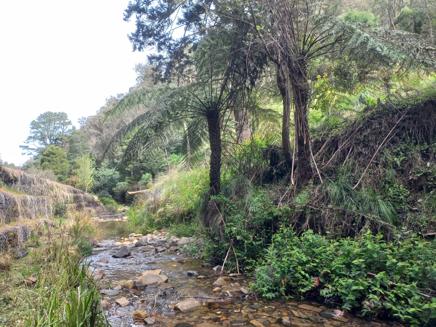 Additional image 7 of 181 Main Road, Walhalla VIC 3825