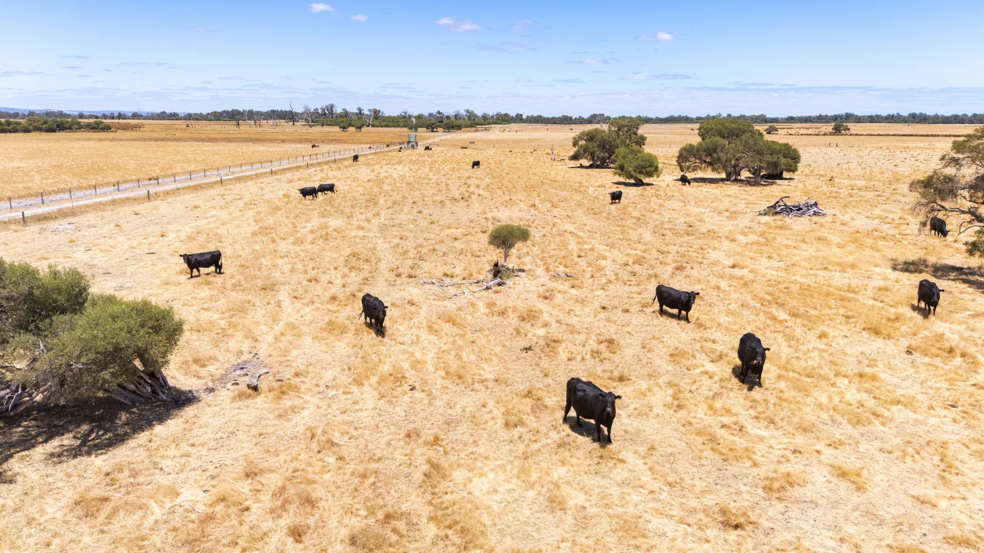 Additional image 3 of 1081 Buller Road, Waroona WA 6215