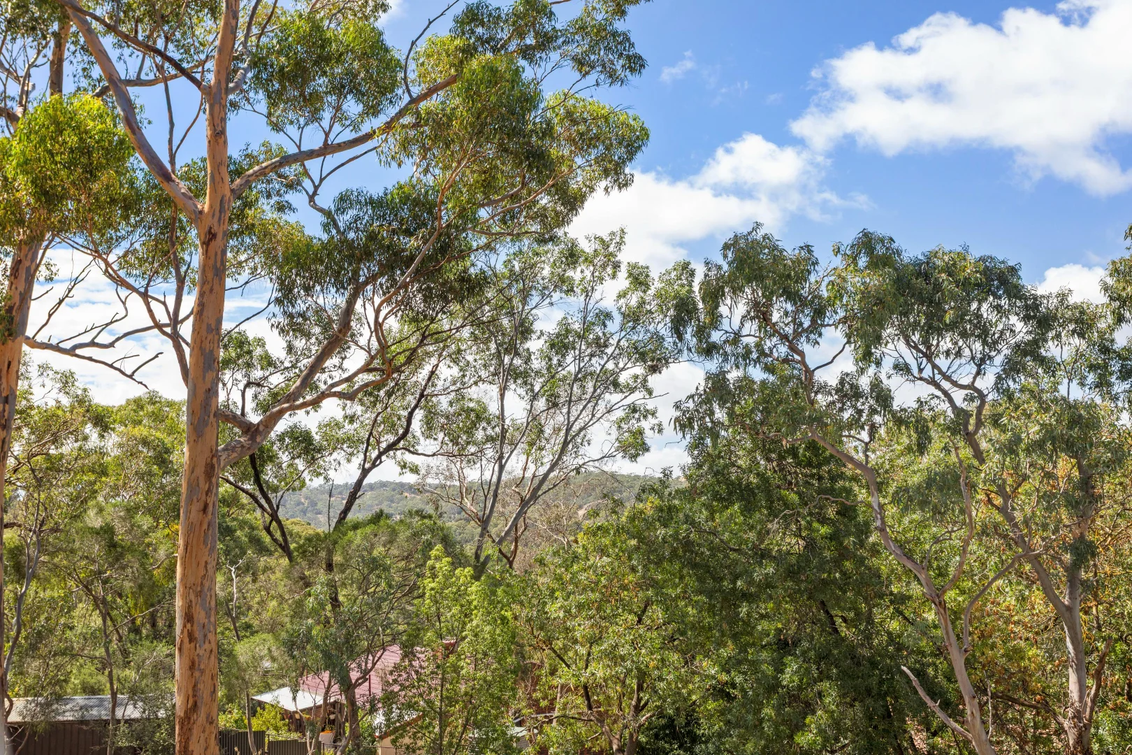 Additional image 31 of 2 Lois Lane, Hawthorndene SA 5051