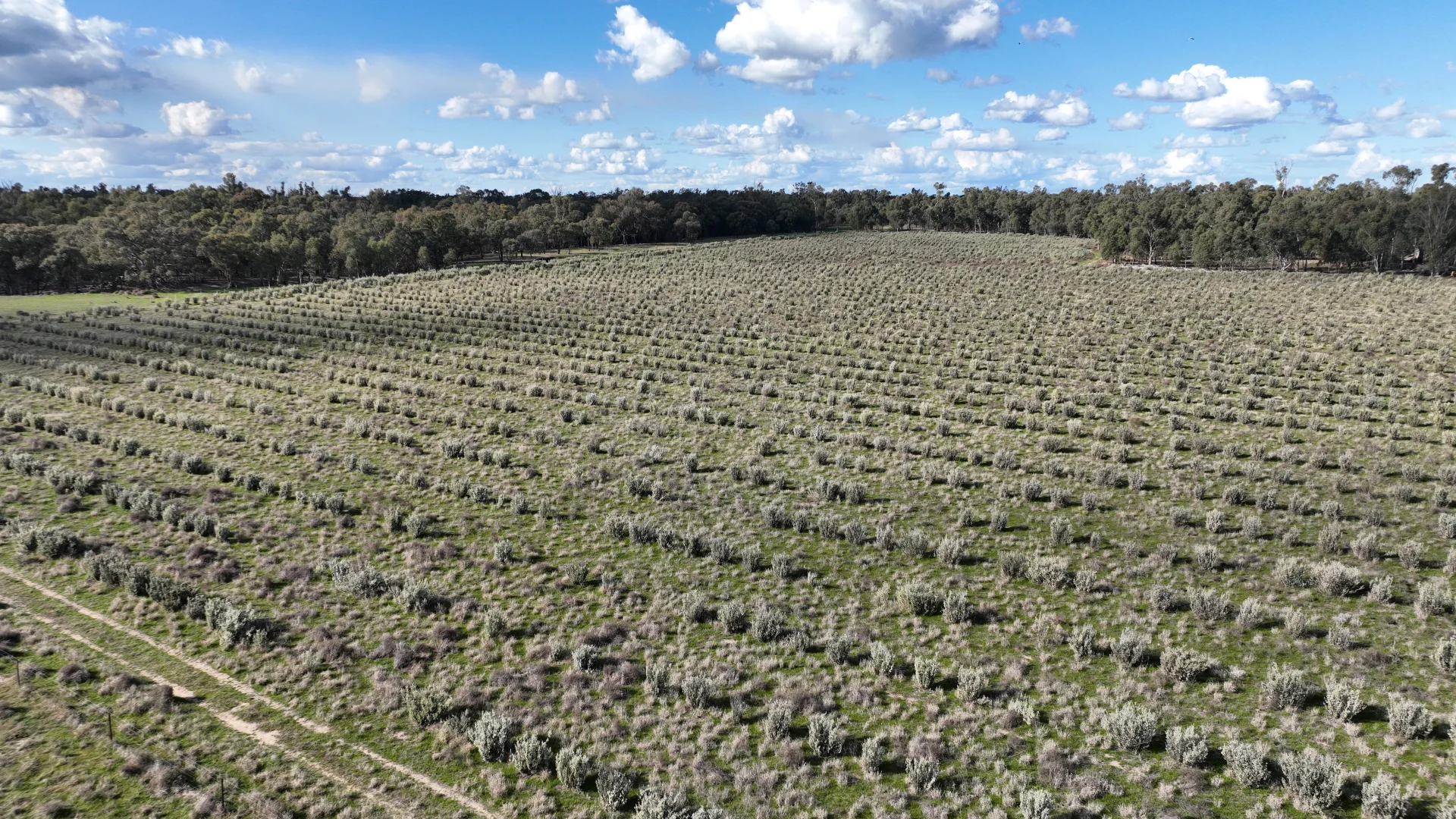 Additional image 25 of Calimo Park Brassi Road, Deniliquin NSW 2710