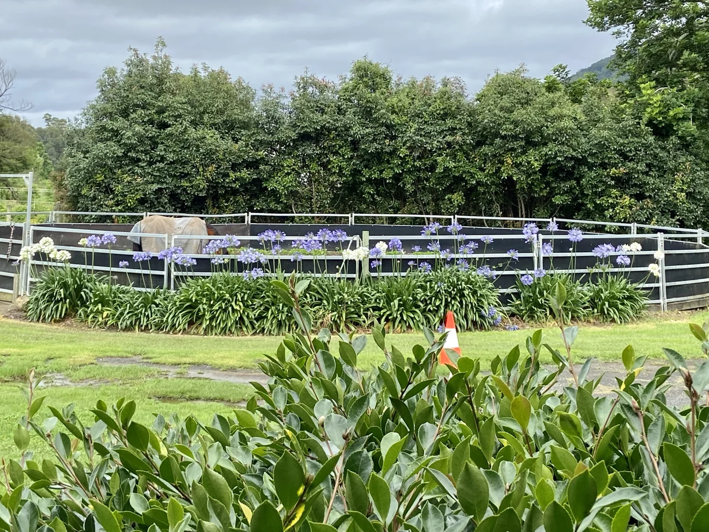 Additional image 32 of 71 Boxsells Lane, Meroo Meadow NSW 2540