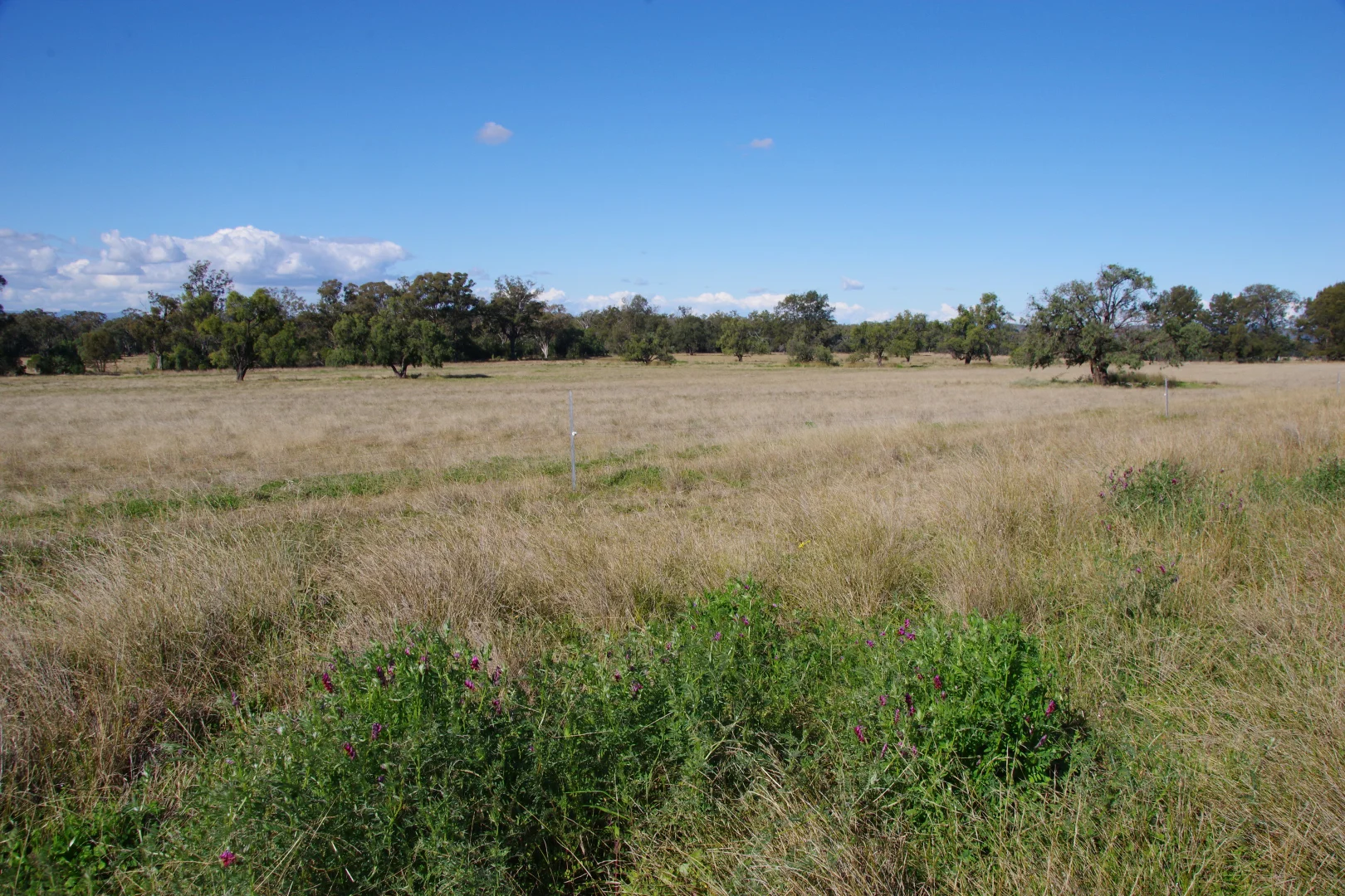 Additional image 28 of 635 Mayfield Road, Narrabri NSW 2390