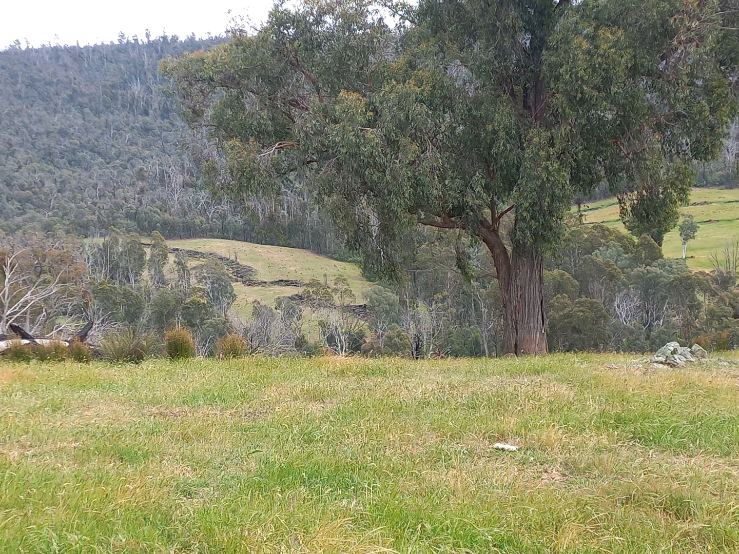 Additional image 2 of Lot 10/714 Yenschs Road, Lankeys Creek NSW 2644