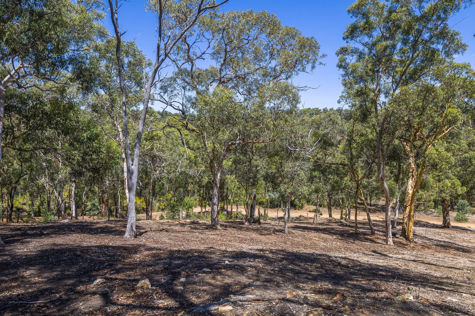 Additional image 23 of 132 Wisteria Way, Chittering WA 6084