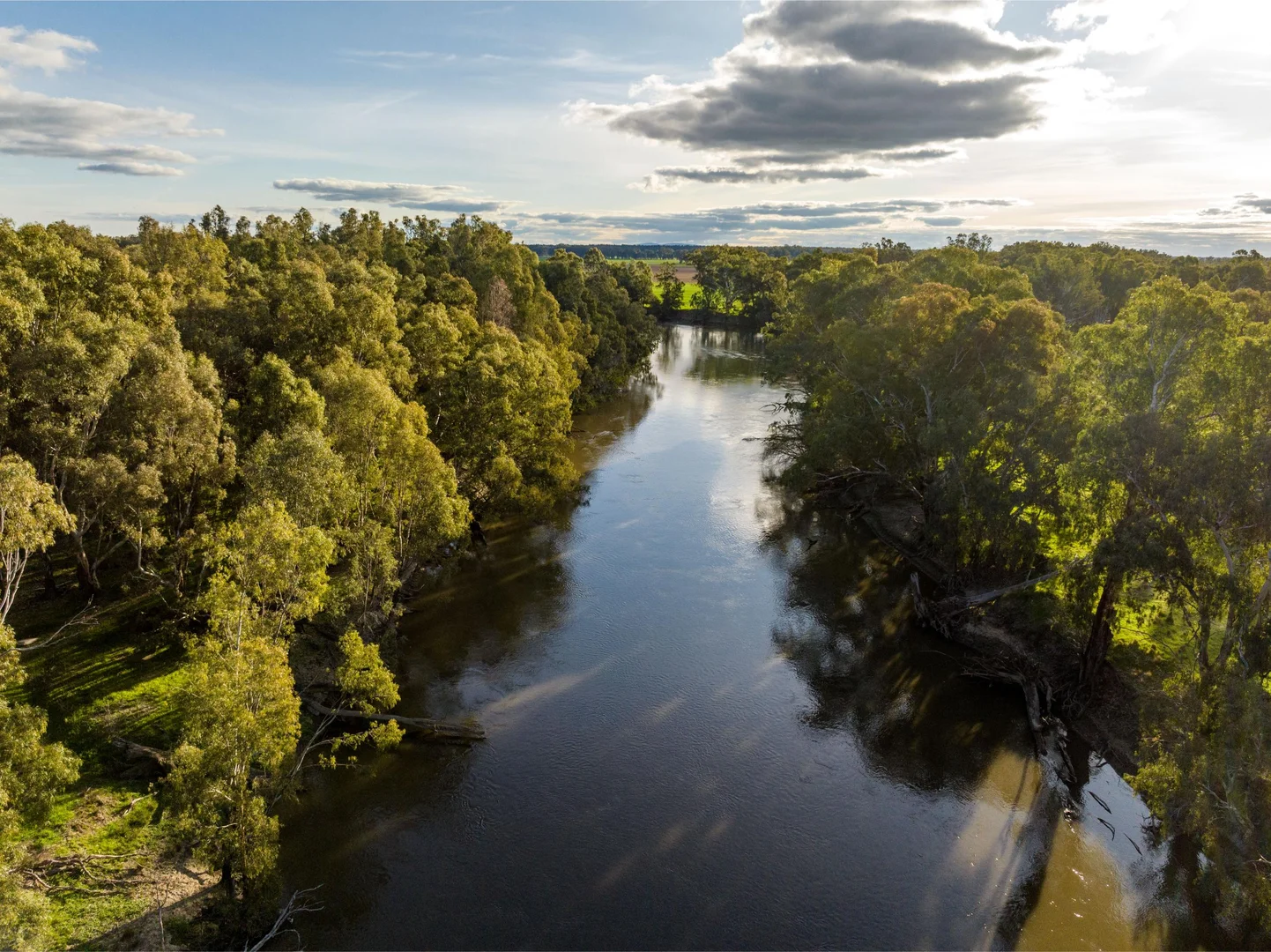 Additional image 2 of 1871 Old Narrandera Road, Euberta NSW 2650