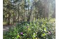 Additional image 16 of 5772 Arrowhead Dr, Foresthill, CA, 95631