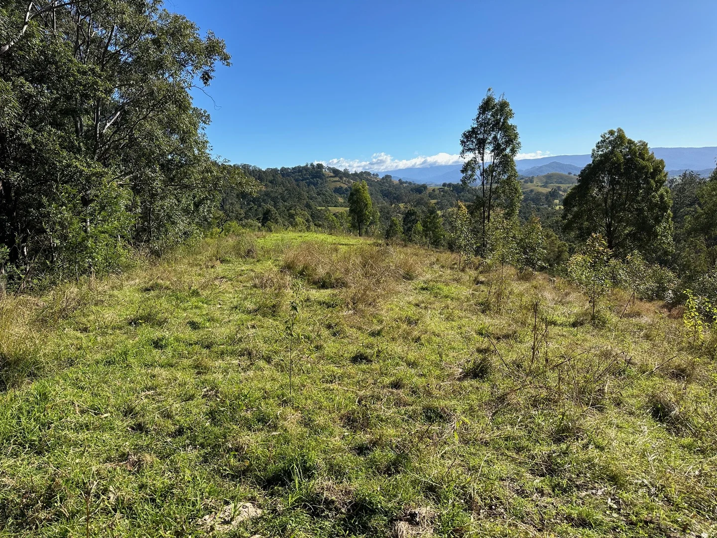 Additional image 14 of 129 Quartpot Creek Road, Dungog NSW 2420