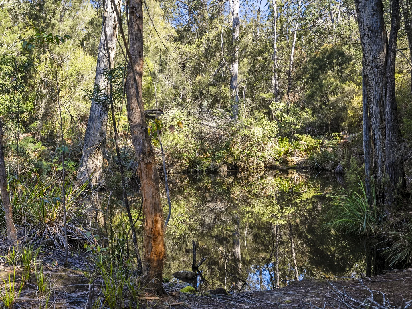 Additional image 29 of 1, 1, 2 Sympathy Point Road, Taranna TAS 7180