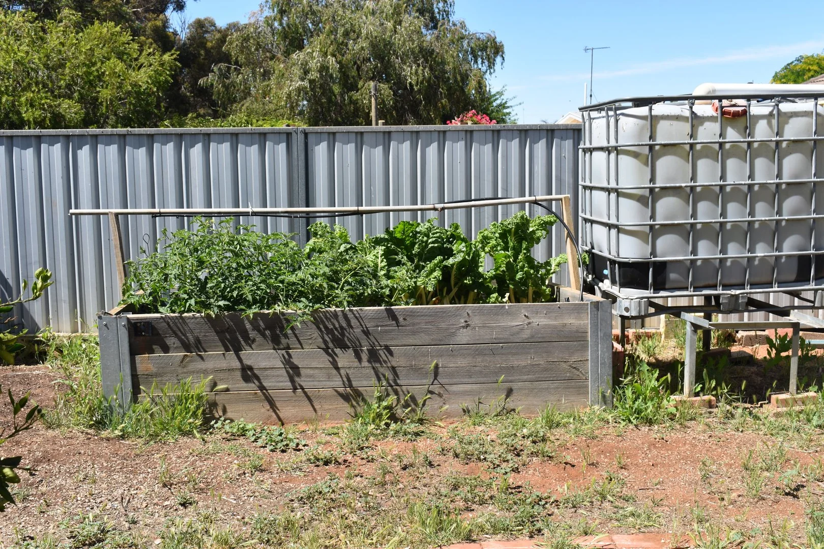 Additional image 15 of 22 EAST TERRACE, Brinkworth SA 5464