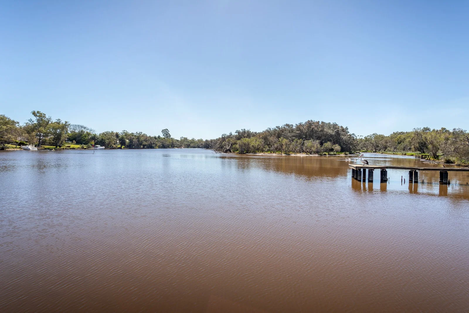 Additional image 10 of South Guildford WA 6055